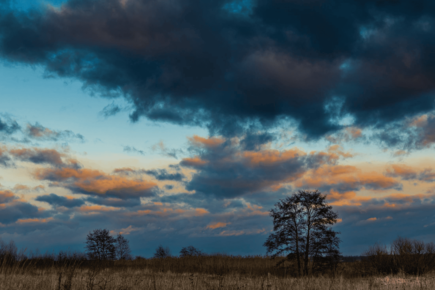 Foothills County Homes for Sale $1,000,000 - $2,000,000 featuring luxury estates and ranch properties